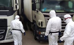 Afgańczycy i Pakistańczyk przyjechali do Polski z Grecji w transporcie ziemniaków. Chcieli do Niemiec i Francji