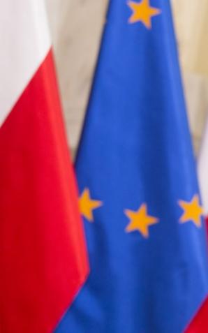 Premier Ewa Kopacz w TVP INFO: 80% zapowiedzi z exposé zostało wykonane