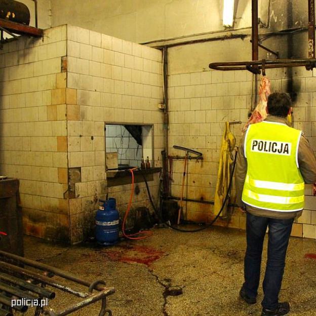 Szok! W takich warunkach prowadzili nielegalną ubojnie zwierząt! 